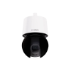 NDP-7804-Z12L